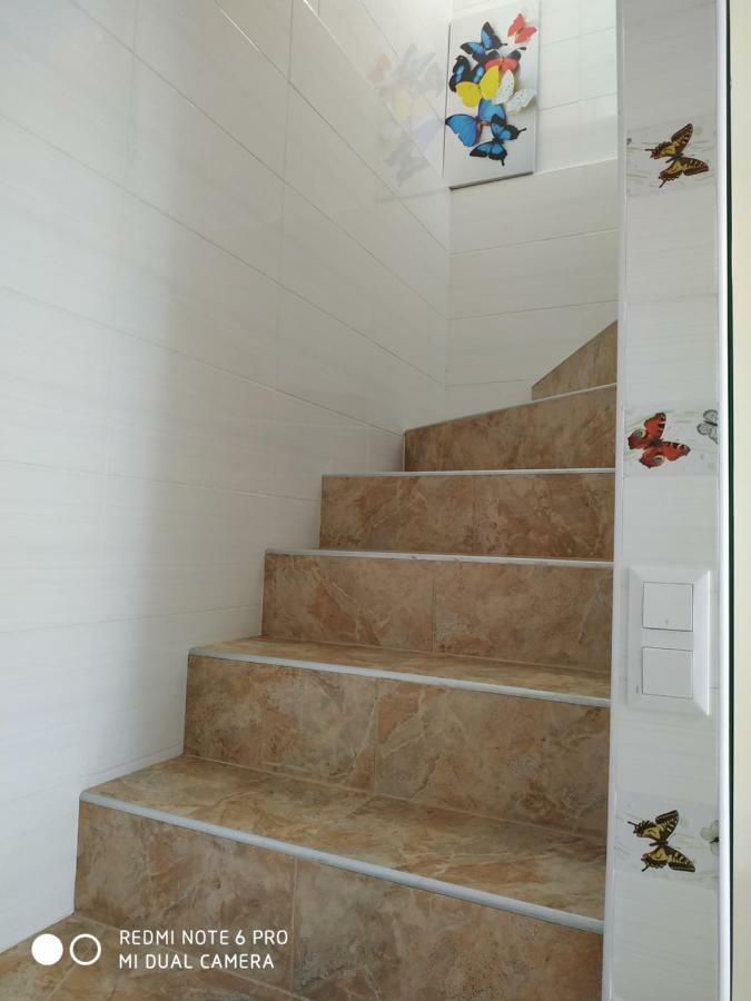 Guest House Butterfly Wing Odessa Dış mekan fotoğraf